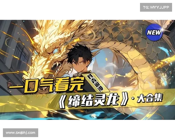 神龙契约攻略大全：从新手到高手