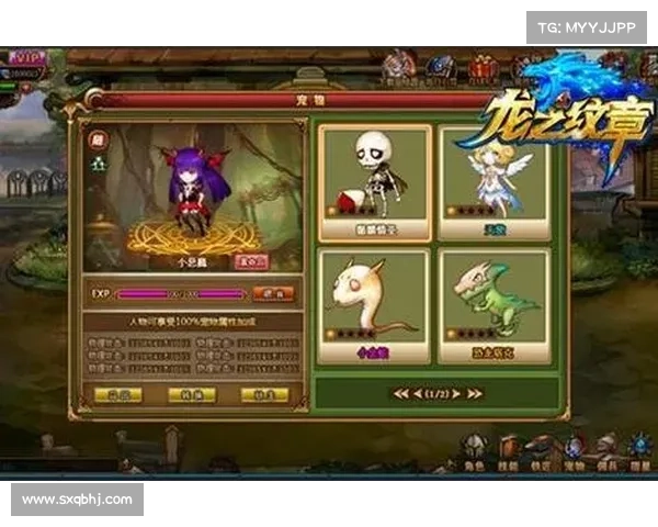 青龙纹章手游,青龙之章英雄：青龙纹章：谱写东方玄幻新篇章